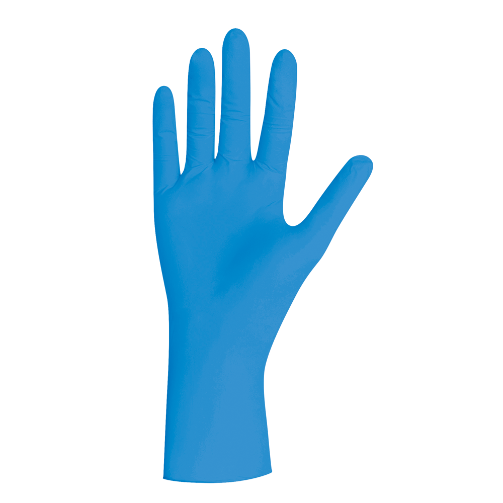 Format Blue Einweghandschuh